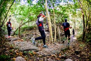 BIB: 
                            <button type="button" onclick="openModal(7048298)" class="btn btn-primary btn-sm float-right btn-popup" data-toggle="modal" data-target=".modal-high-quality">
                        <i class="fas fa-shopping-cart"></i> Add to Cart
                    </button>
                                            <button type="button" onclick="isThisMe(7048298, true)" class="btn btn-success btn-sm float-right btn-popup btn-isme hidden" data-toggle="tooltip" data-placement="bottom" title="นี่คือรูปของคุณใช่ไหม คลิกที่นี่เพื่อเอาเข้าอัลบั้ม">
                        <i class="fas fa-plus"></i> Add to album
                    </button>
                    <button type="button" onclick="isThisMe(7048298, false)" class="btn btn-warning btn-sm float-right btn-popup btn-isnotme hidden">
                        <i class="fas fa-ban"></i> Remove from album
                    </button>